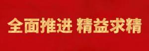 履踐致遠(yuǎn)向未來(lái) | 洛陽(yáng)正大精英特訓(xùn)營(yíng)“磐石計(jì)劃”精益生產(chǎn)項(xiàng)目召開復(fù)盤追蹤會(huì)