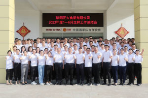 總結(jié)過(guò)去，計(jì)劃未來(lái)，協(xié)同創(chuàng)新，再創(chuàng)佳績(jī)！洛陽(yáng)正大舉行2023年上半年工作總結(jié)會(huì)議